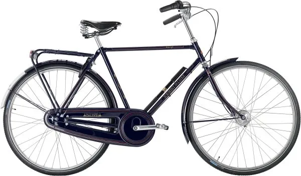 Raleigh Tourist de Luxe Herr 3vxl fotbroms