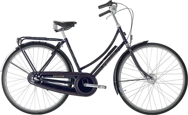 Raleigh Tourist de Luxe Dam 3vxl fotbroms