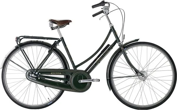Raleigh Tourist de Luxe Dam Nexus 7vxl Fotbroms