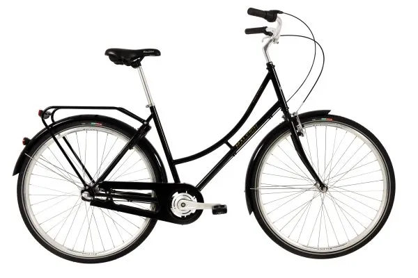 Raleigh Darlington Dam 3vxl fot/v-broms