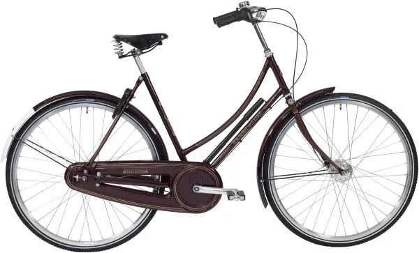 Raleigh Tourist de Luxe Dam 7vxl fot/trumbroms
