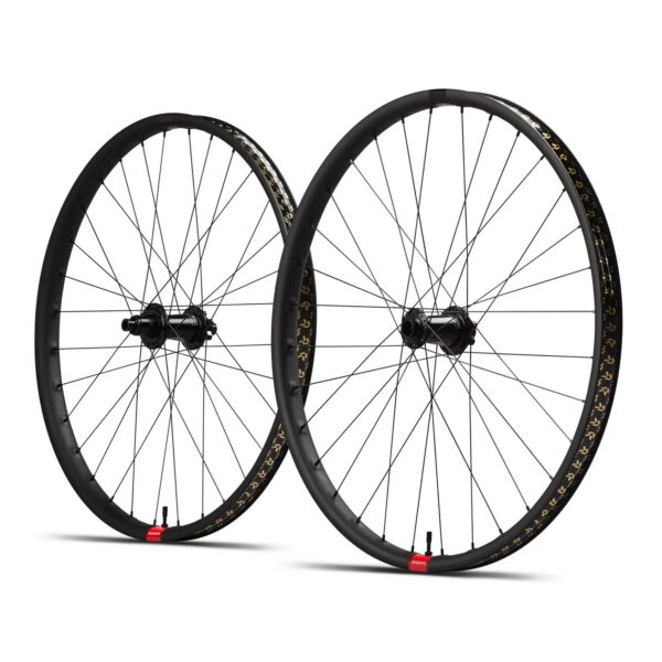 Reserve 31|DH Carbon