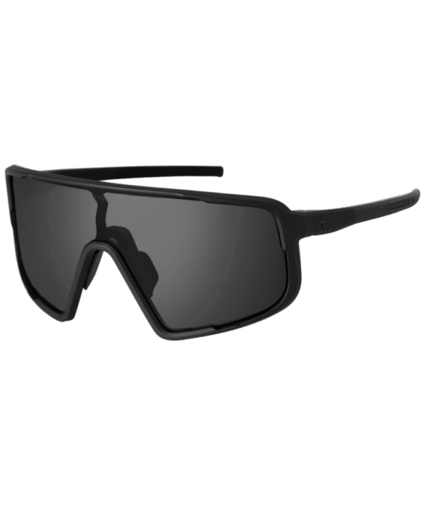 Sweet Protection solglasögon Memento Polarized